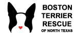 Boston Terrier Rescue Of North Texas